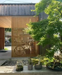 madeira carbonizada solid house 3